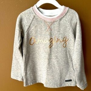 Hudson Girls Size 3T Grey Crewneck Sparkle Sweatshirt